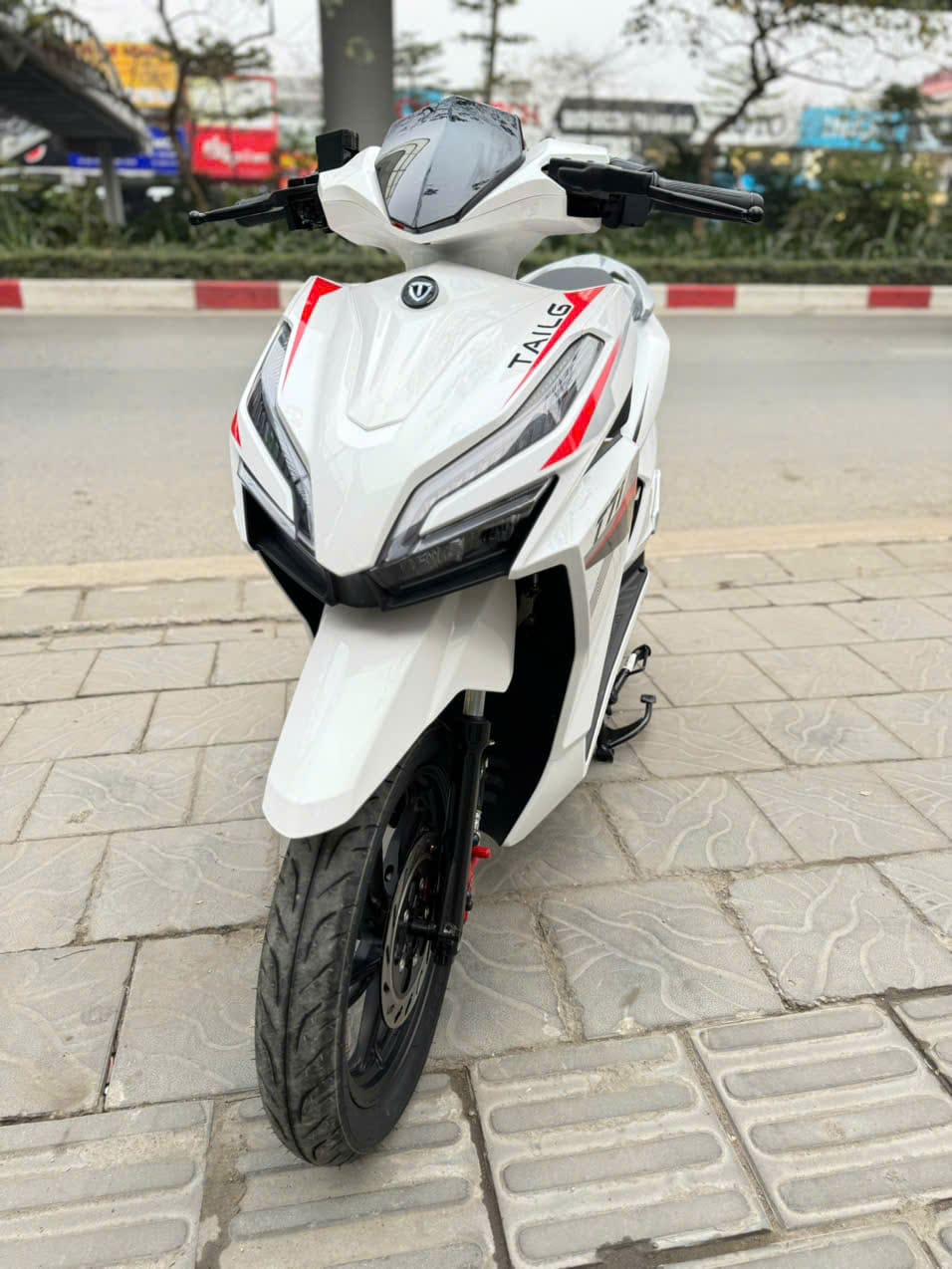 Trải Nghiệm Đi Thử Leo Dốc, Chở Hai Người Tr&ecirc;n Tailg T71 Vario C&oacute; Khỏe Kh&ocirc;ng?