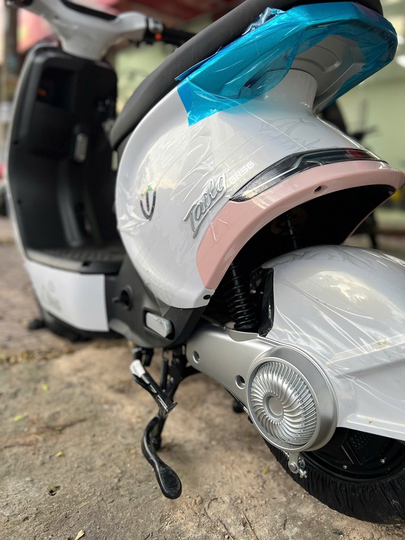 Xe Đạp Điện Tailg GR56 Đầy Đủ Giấy Tờ