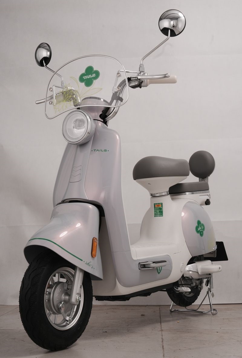 Xe Đạp Điện Tailg Princess JS50