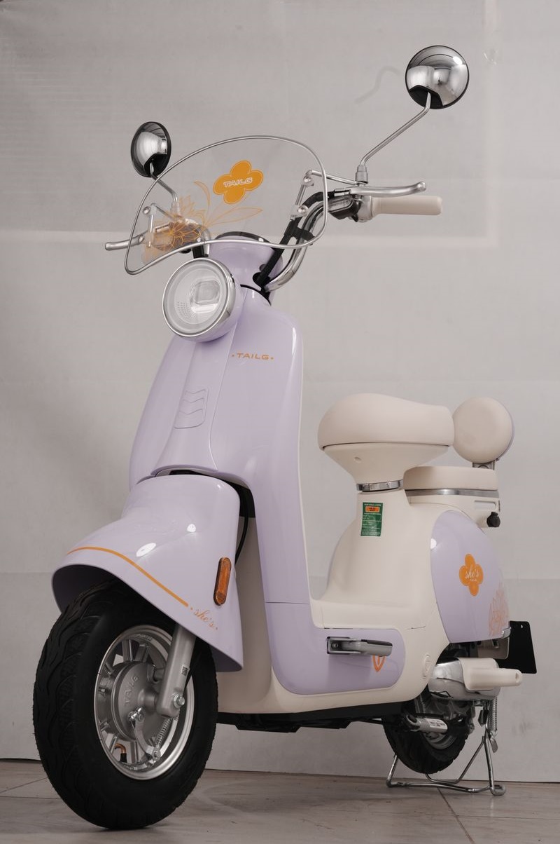 Xe Đạp Điện Tailg Princess JS50