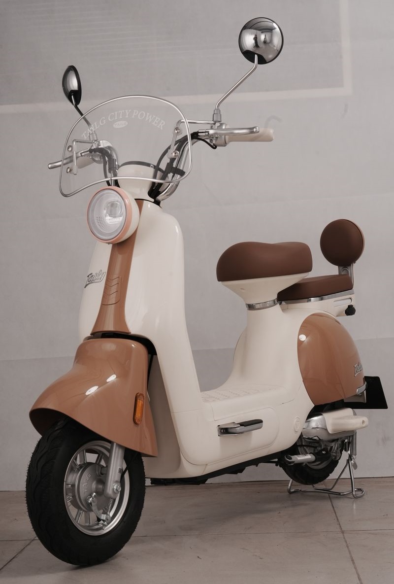 Xe Đạp Điện Tailg Princess JS50