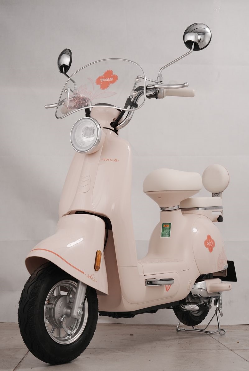 Xe Đạp Điện Tailg Princess JS50