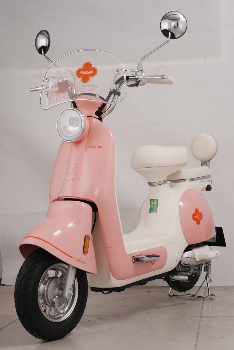 Xe Đạp Điện Tailg Princess JS50