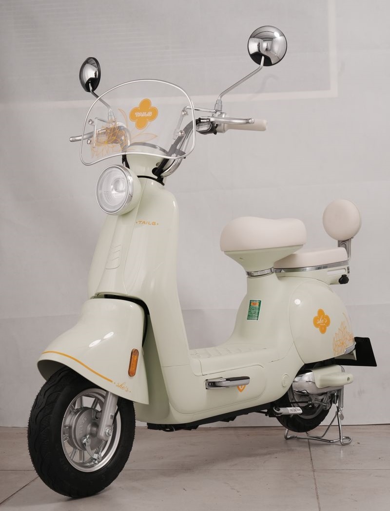 Xe Đạp Điện Tailg Princess JS50