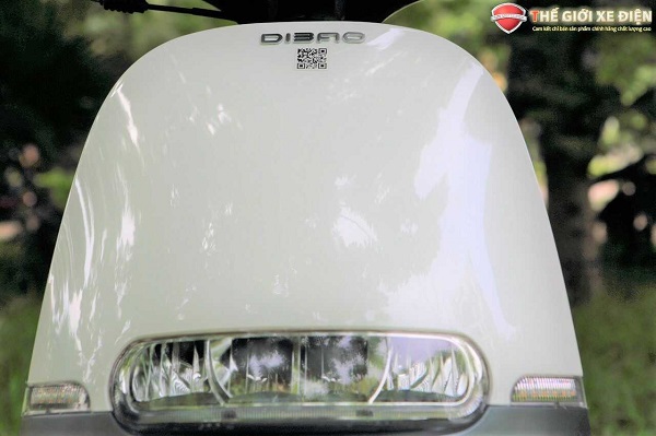 Xe máy tay ga 50cc GoFast Dibao Xe máy tay ga 50cc GoFast Dibao