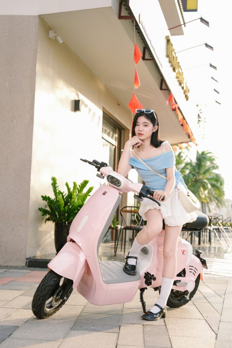 Xe đạp điện chỉ được sản xuất khi tích hợp chế độ đạp chân từ 2025