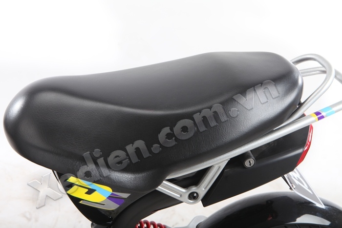 Xe điện Giant 133DS