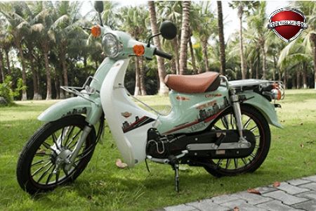 Xe Máy 50cc Cub Victoria Việt Nhật 2023