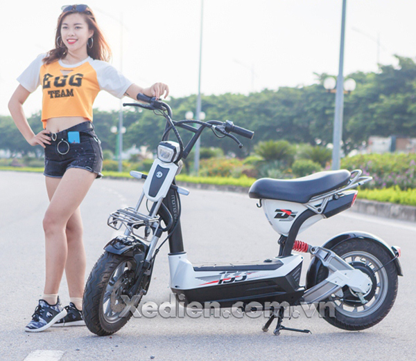 Xe điện Giant 133DS