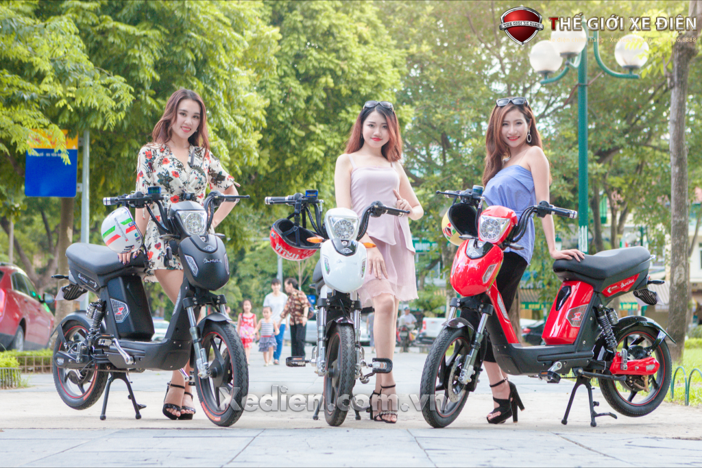 Các mẫu xe đạp điện cực chất từ Nhật Bản