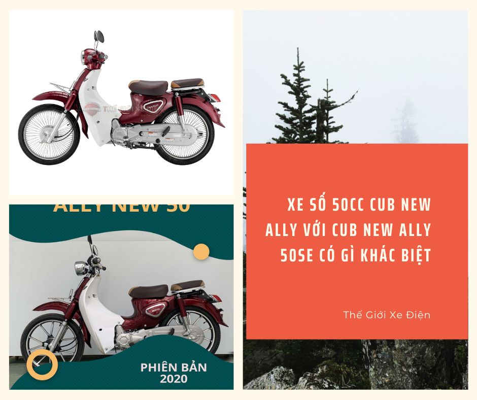 Xe số 50cc Cub New Ally với Cub New Ally 50SE có gì khác biệt