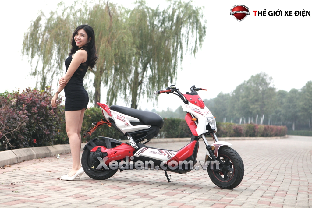 Những điều cần biết về ác quy xe điện