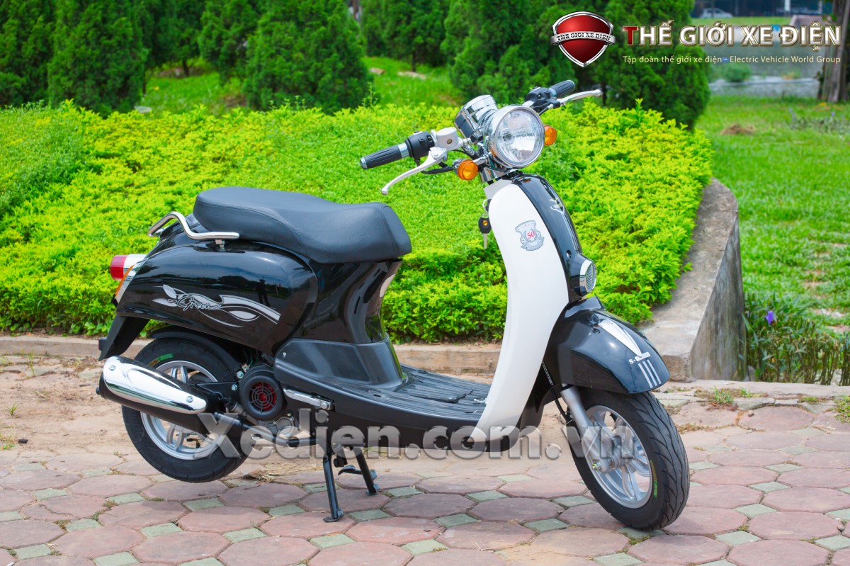 Xe ga 50cc Scoopy và nhưng ưu điểm nổi trội | TGXĐ